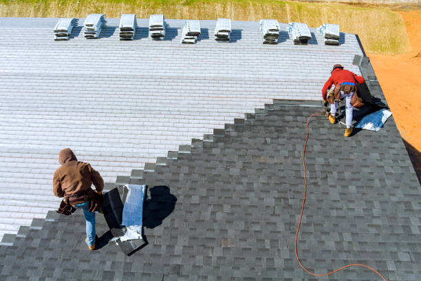 Best Flat Roof Repair Services  in La Villa, TX