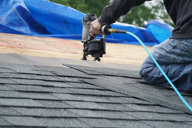 Professional Roofing Contractor in La Villa, TX