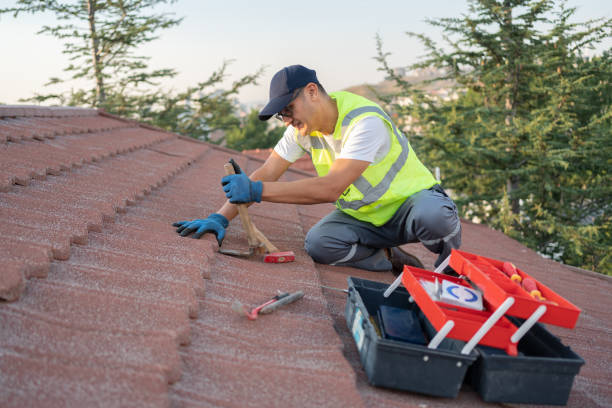 Best Residential Roofing Contractor  in La Villa, TX