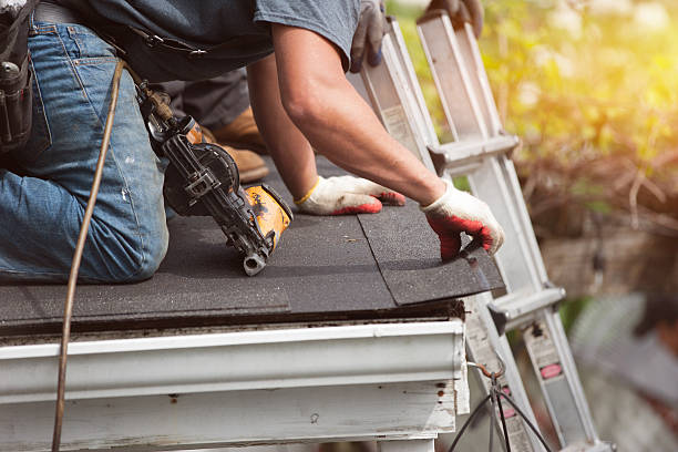 Best Sealant for Roof  in La Villa, TX