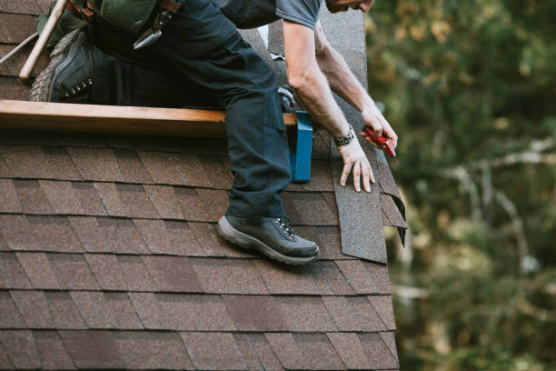 Best Roof Restoration Services  in La Villa, TX